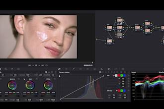 do a professional color correction and balancing your video