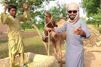 do funny african happy birthday video or funny happy birthday video