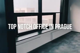 professionally translate english video subtitles to chinese