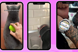 create tik tok video ads, tik tok video for dropshipping product