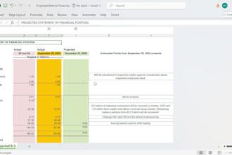 prepare balance sheet, profit and loss and financial projections