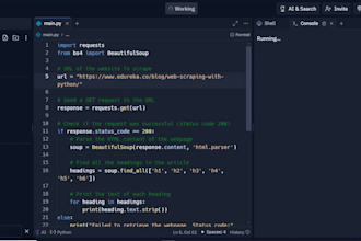 expert web scraping, lead generation, and  automated excel reports