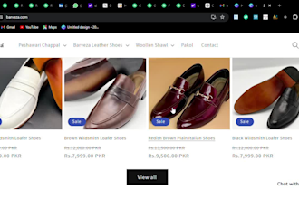 design a professional and responsive shopify store or website