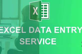 do accurate data entry and advanced excel data cleaning