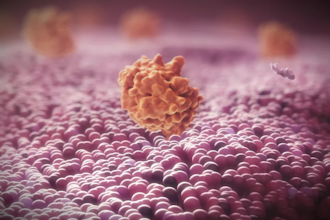 create 3d medical animation, 3d phamaceutical animation video for drug mechanism