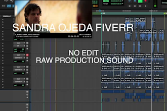 professionally edit, clean and repair your dialogue audio