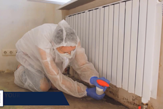 do mold removal or mold remediation promo video ads