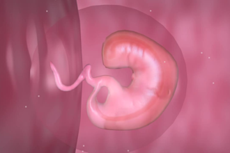 create 3d medical animation