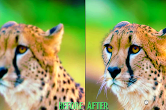 upscale, enhance, de noise, increase frame rate, restore video quality to 4k