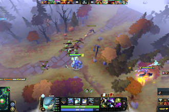 play dota with you