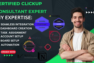 setup clickup workflows, integrations and automations, clickup consultant expert