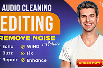 remove background noise, hiss, echo, music make audio crystal clear