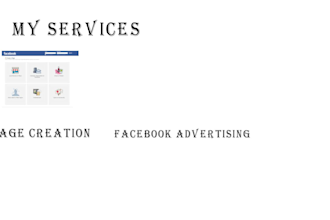 be your facebook ads manager and run fb ads campaigns for your business