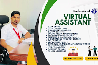 be your professional executive virtual assistant