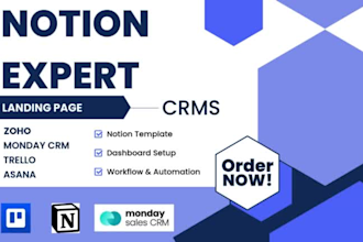 build custom notion template, notion design, notion database, notion workspace