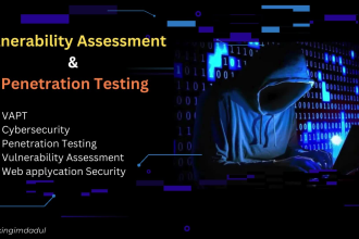 perform expert vulnerability assessment and penetration testing vapt services