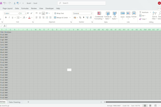 do excel data entry cleaning analysis formatting sort report