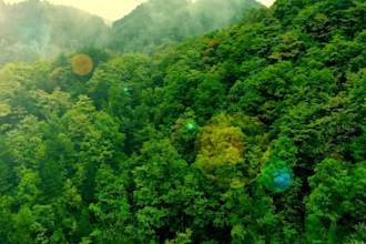 create 20 relaxing nature youtube videos for meditation, yoga, sleep with music