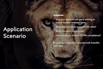 design a professional powerpoint presentation