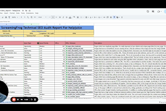provide screaming frog technical SEO audit report in 24 hours