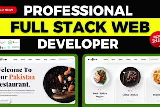build, rebuild full stack website development, front end and backend developer