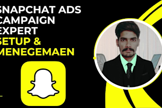 setup and manage your snapchat ads campaign