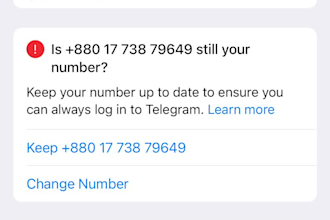 be the telegram community manager for any crypto project