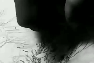 draw black and white artwork, metal, dark art illustration