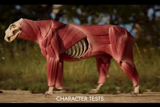 create realistic 3d animal animation, 3d model, 3d groom and fur