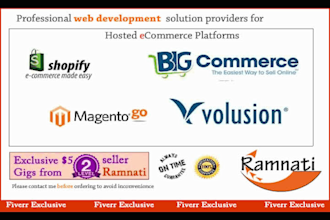 do ecommerce customisation