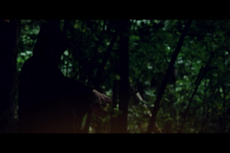 create a best selling cinematic book trailer book teaser book video