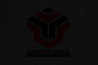 creative and professional logo design service