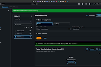 set up a real time visitor tracking system on AWS