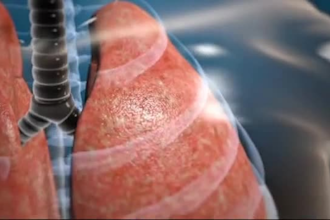 do high quality 3d medical animation video and modelling