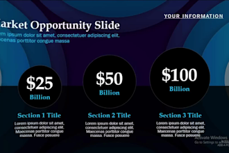 design a professional  power point presentation