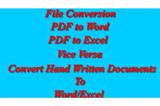do data entry microsoft excel and copy paste etc