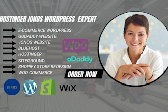 create a responsive wordpress ecommerce store on ionos hostinger godaddy or wix