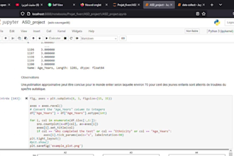 process, clean, analyze, and visualize your data professionally