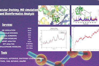 do molecular dynamics simulation, molecular docking and bioinformatics analysis