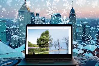 be your wordpress website virtual assistant and manager expert