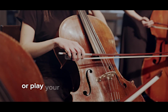 provide professional session musicians for your projects