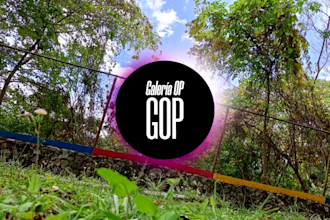 compositions and musical arrangements for songs