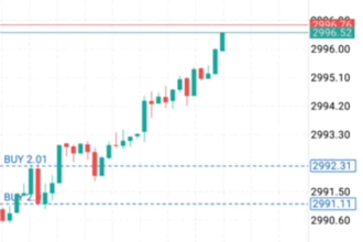 offer forex trading bot, forex ea bot, forex bot, trading bot, forex trading bot