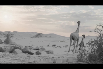 integrate cgi animal animation, cgi animal model, animal rigging, fur design