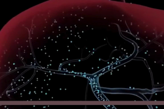 do quality 3d medical animation,3d medical product, motion graphics and 3d model