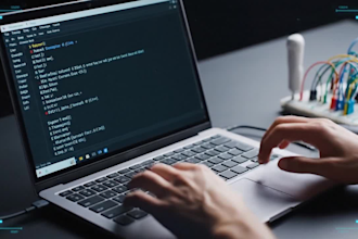 provide professional iot coding develop and code debug