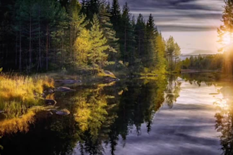 create 30 relaxing and meditation sleep nature music videos for youtube