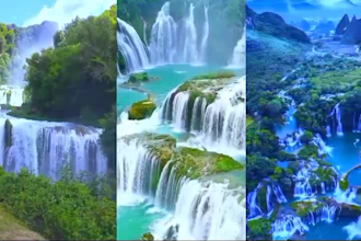 relaxing nature video for youtube shorts, reels and tiktok