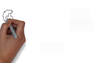 create whiteboard animation video with voiceover