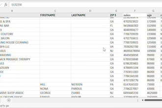 enter and organize data in spreadsheets with full accuracy